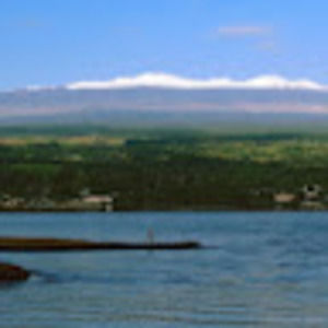 Meet your Posher, Damien